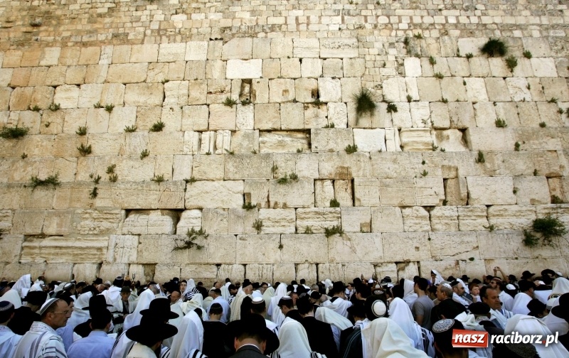 Zdjęcie w galerii na portalu naszraciborz.pl: Wyrusz z nami na pielgrzymkę do Ziemi Świętej. Wyjazd bezpośrednio z Raciborza! wiadomości z regionu