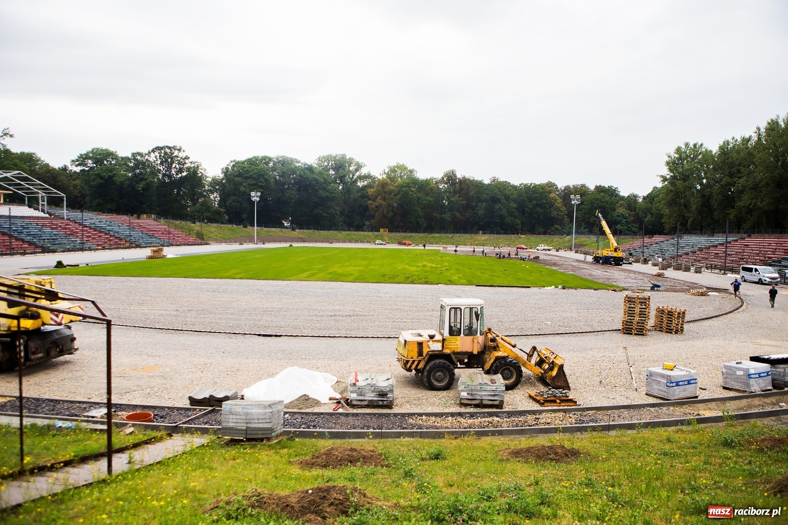 Zdjęcie w galerii na portalu naszraciborz.pl: Murawa raciborskiego stadionu już się zieleni  wiadomości z regionu