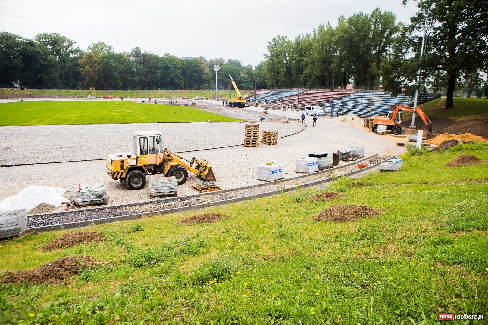 Zdjęcie w galerii na portalu naszraciborz.pl: Murawa raciborskiego stadionu już się zieleni  wiadomości z regionu