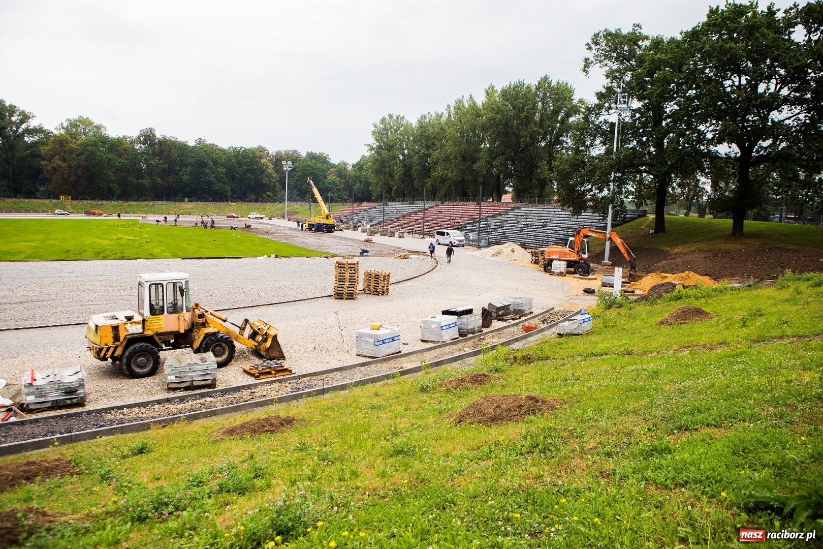 Zdjęcie w galerii na portalu naszraciborz.pl: Murawa raciborskiego stadionu już się zieleni  wiadomości z regionu