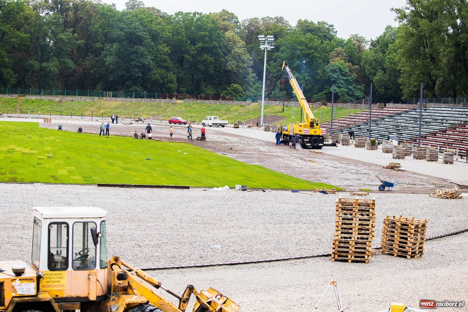 Zdjęcie w galerii na portalu naszraciborz.pl: Murawa raciborskiego stadionu już się zieleni  wiadomości z regionu