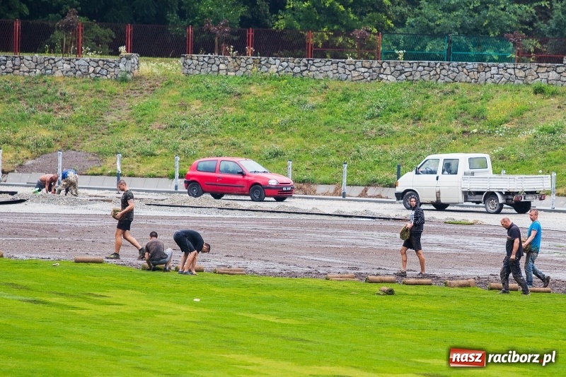 Zdjęcie w galerii na portalu naszraciborz.pl: Murawa raciborskiego stadionu już się zieleni  wiadomości z regionu