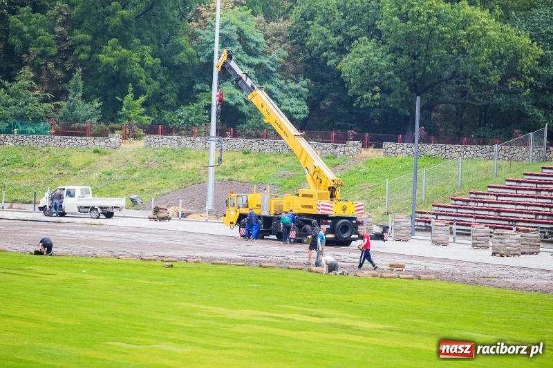 Zdjęcie w galerii na portalu naszraciborz.pl: Murawa raciborskiego stadionu już się zieleni  wiadomości z regionu