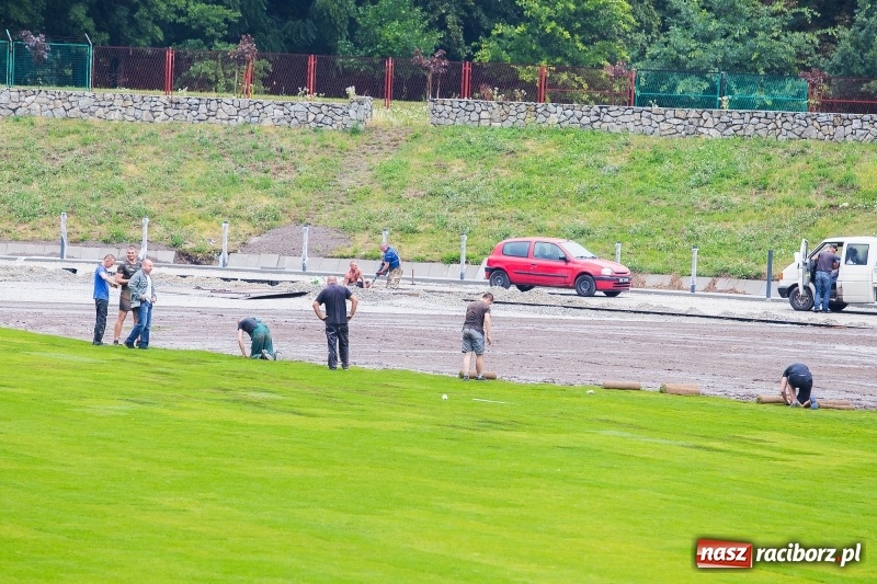 Zdjęcie w galerii na portalu naszraciborz.pl: Murawa raciborskiego stadionu już się zieleni  wiadomości z regionu