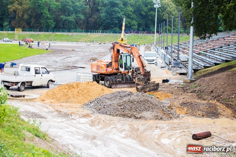 Zdjęcie w galerii na portalu naszraciborz.pl: Murawa raciborskiego stadionu już się zieleni  wiadomości z regionu