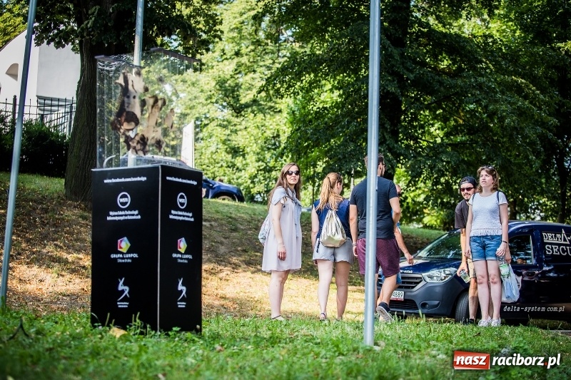 Zdjęcie w galerii na portalu naszraciborz.pl: Na Zamku Piastowskim trwa IV edycja Intro Festivalu wiadomości z regionu
