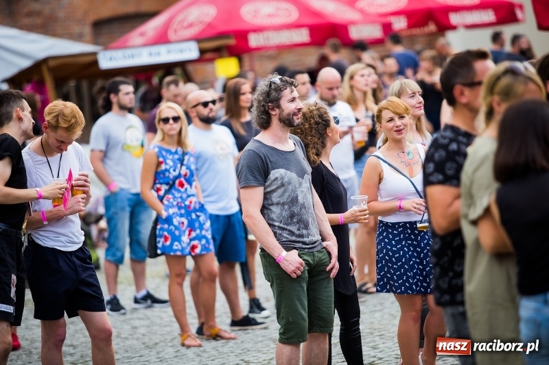 Zdjęcie w galerii na portalu naszraciborz.pl: Muzyka, efekty specjalne i... deszcz, czyli INTRO Festival 2017 już za nami! wiadomości z regionu