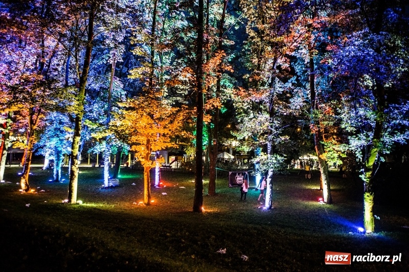 Zdjęcie w galerii na portalu naszraciborz.pl: Muzyka, efekty specjalne i... deszcz, czyli INTRO Festival 2017 już za nami! wiadomości z regionu