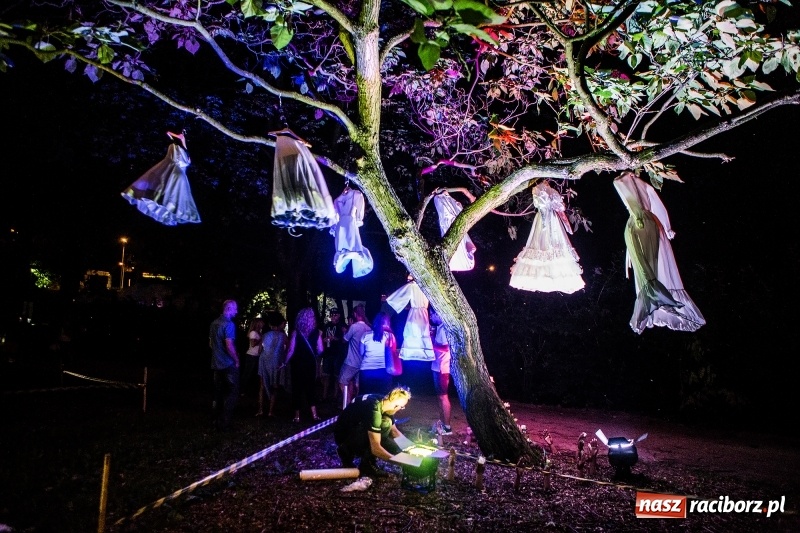 Zdjęcie w galerii na portalu naszraciborz.pl: Muzyka, efekty specjalne i... deszcz, czyli INTRO Festival 2017 już za nami! wiadomości z regionu