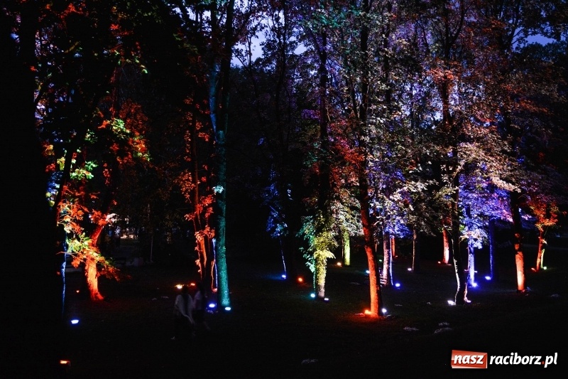 Zdjęcie w galerii na portalu naszraciborz.pl: Muzyka, efekty specjalne i... deszcz, czyli INTRO Festival 2017 już za nami! wiadomości z regionu