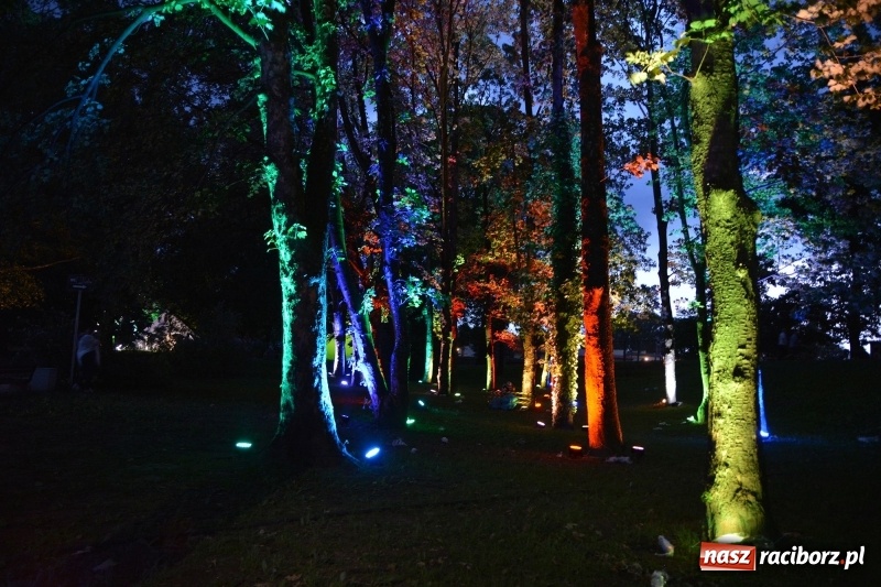 Zdjęcie w galerii na portalu naszraciborz.pl: Muzyka, efekty specjalne i... deszcz, czyli INTRO Festival 2017 już za nami! wiadomości z regionu