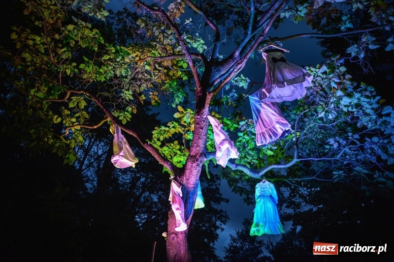 Zdjęcie w galerii na portalu naszraciborz.pl: Muzyka, efekty specjalne i... deszcz, czyli INTRO Festival 2017 już za nami! wiadomości z regionu