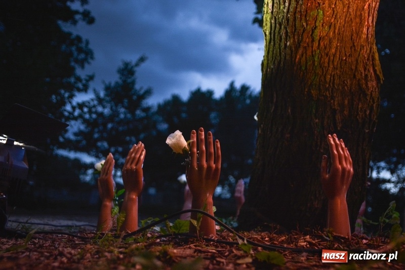 Zdjęcie w galerii na portalu naszraciborz.pl: Muzyka, efekty specjalne i... deszcz, czyli INTRO Festival 2017 już za nami! wiadomości z regionu