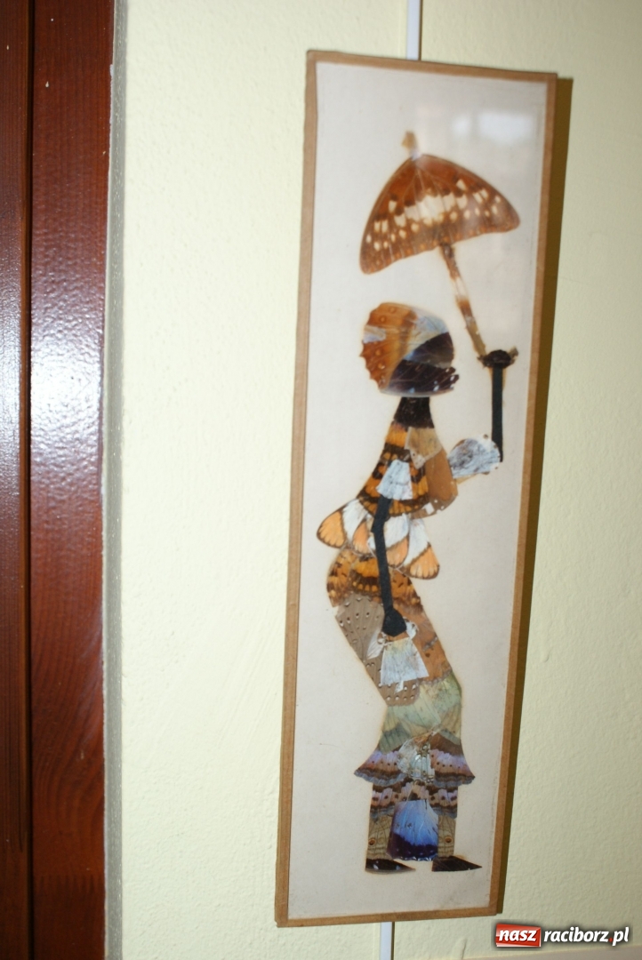 Zdjęcie w galerii na portalu naszraciborz.pl: Inspirujące atrakcje, czyli czwarty tydzień wakacji w SM Nowoczesna wiadomości z regionu