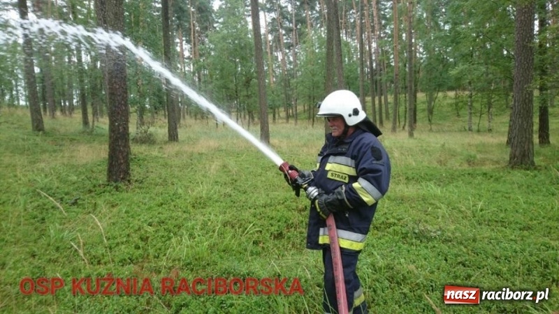 Zdjęcie w galerii na portalu naszraciborz.pl: Wtorek strażaków minął pod znakiem ćwiczeń. Tym razem symulowano pożar lasu wiadomości z regionu