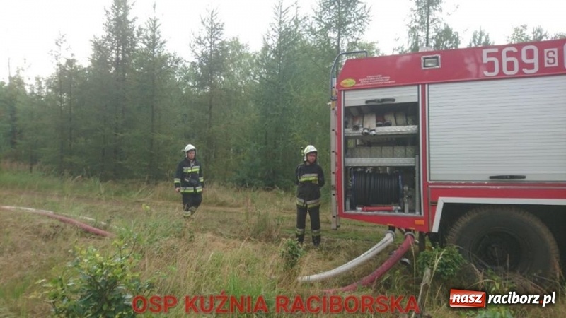 Zdjęcie w galerii na portalu naszraciborz.pl: Wtorek strażaków minął pod znakiem ćwiczeń. Tym razem symulowano pożar lasu wiadomości z regionu