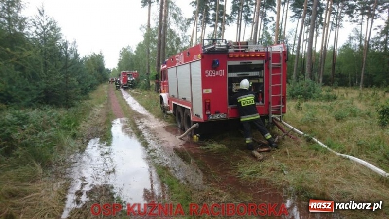 Zdjęcie w galerii na portalu naszraciborz.pl: Wtorek strażaków minął pod znakiem ćwiczeń. Tym razem symulowano pożar lasu wiadomości z regionu