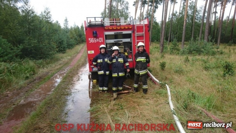 Zdjęcie w galerii na portalu naszraciborz.pl: Wtorek strażaków minął pod znakiem ćwiczeń. Tym razem symulowano pożar lasu wiadomości z regionu