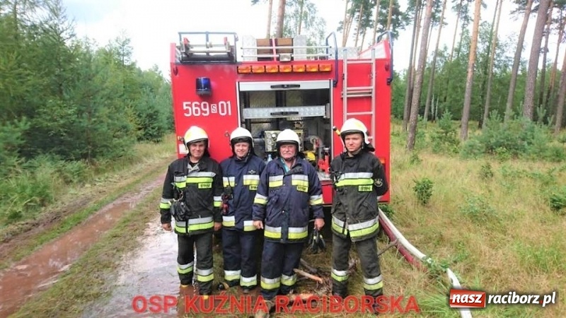 Zdjęcie w galerii na portalu naszraciborz.pl: Wtorek strażaków minął pod znakiem ćwiczeń. Tym razem symulowano pożar lasu wiadomości z regionu