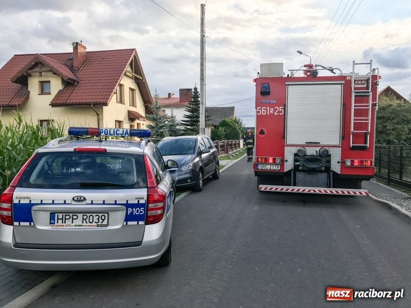 Zdjęcie w galerii na portalu naszraciborz.pl: Ewakuacja w Krzyżanowicach. Przy Moniuszki znaleziono bombę lotniczą z II wojny światowej  wiadomości z regionu