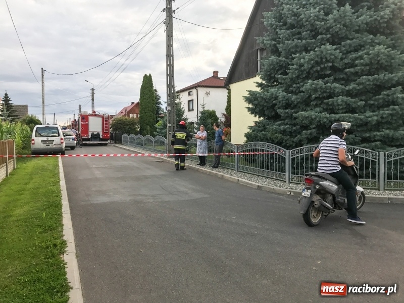 Zdjęcie w galerii na portalu naszraciborz.pl: Ewakuacja w Krzyżanowicach. Przy Moniuszki znaleziono bombę lotniczą z II wojny światowej  wiadomości z regionu
