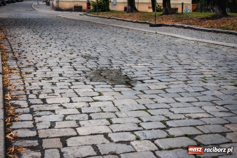 Zdjęcie w galerii na portalu naszraciborz.pl: Na Długiej odsłonięto piękny przedwojenny bruk, który zostanie zastąpiony nowym wiadomości z regionu