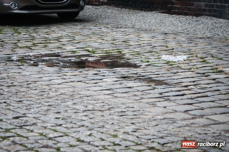 Zdjęcie w galerii na portalu naszraciborz.pl: Na Długiej odsłonięto piękny przedwojenny bruk, który zostanie zastąpiony nowym wiadomości z regionu