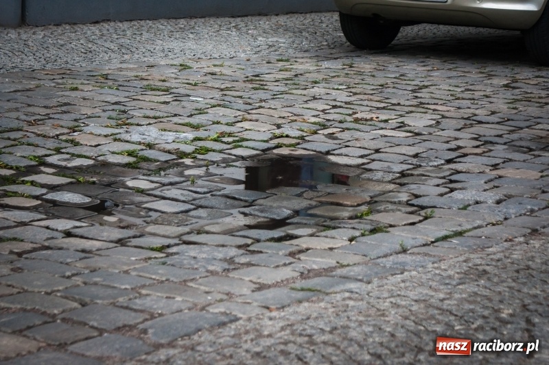 Zdjęcie w galerii na portalu naszraciborz.pl: Na Długiej odsłonięto piękny przedwojenny bruk, który zostanie zastąpiony nowym wiadomości z regionu