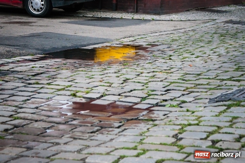 Zdjęcie w galerii na portalu naszraciborz.pl: Na Długiej odsłonięto piękny przedwojenny bruk, który zostanie zastąpiony nowym wiadomości z regionu