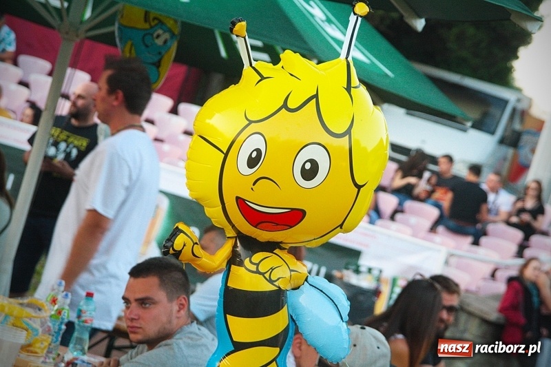 Zdjęcie w galerii na portalu naszraciborz.pl: Najcieplejsze Miejsce na Ziemi. Muzyka reggae na dwa dni zawładnęła Wodzisławiem. FOTORELACJA  wiadomości z regionu