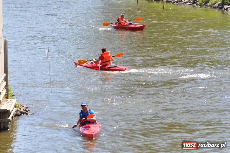 Zdjęcie w galerii na portalu naszraciborz.pl: Slalomem kajakarskim po Odrze w Raciborzu FOTO i WIDEO wiadomości z regionu