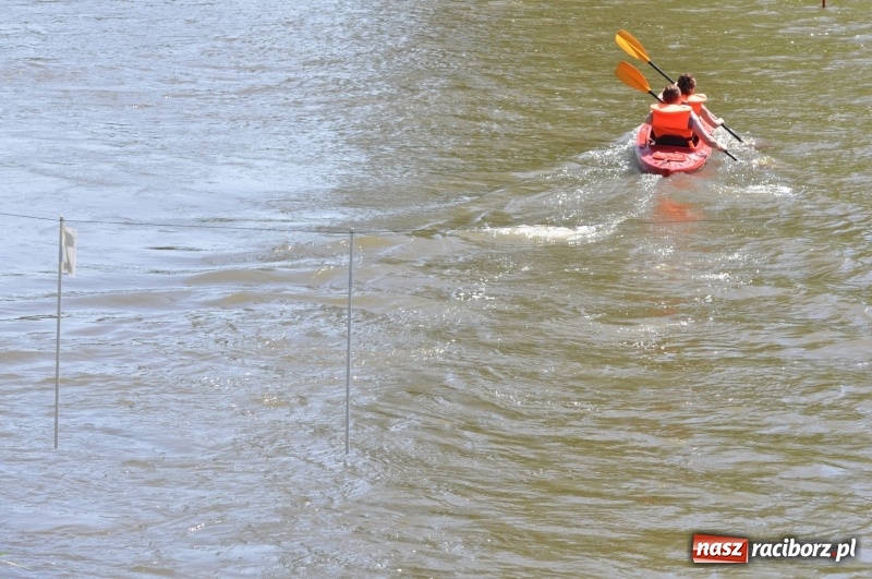 Zdjęcie w galerii na portalu naszraciborz.pl: Slalomem kajakarskim po Odrze w Raciborzu FOTO i WIDEO wiadomości z regionu