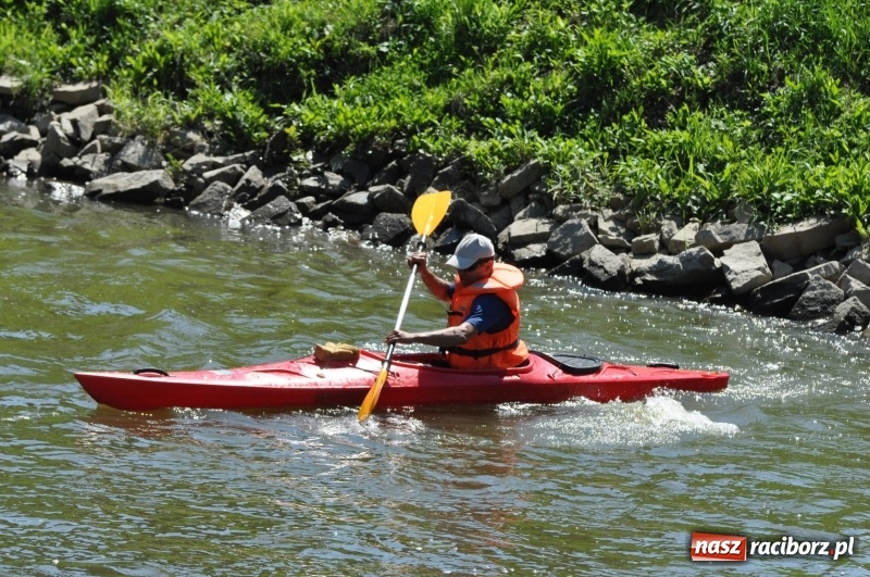 Zdjęcie w galerii na portalu naszraciborz.pl: Slalomem kajakarskim po Odrze w Raciborzu FOTO i WIDEO wiadomości z regionu