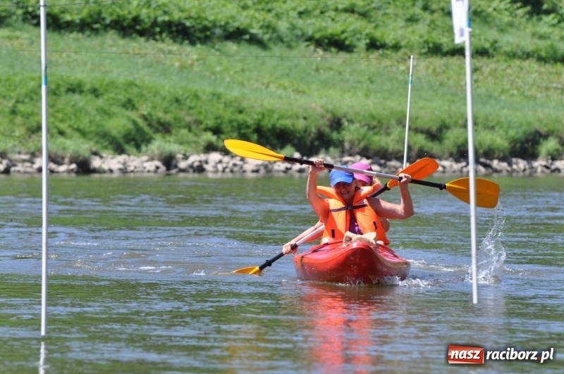 Zdjęcie w galerii na portalu naszraciborz.pl: Slalomem kajakarskim po Odrze w Raciborzu FOTO i WIDEO wiadomości z regionu