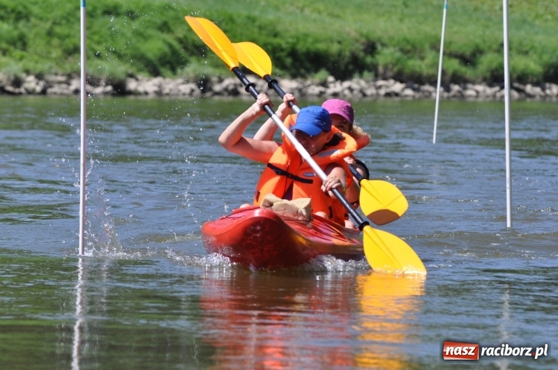 Zdjęcie w galerii na portalu naszraciborz.pl: Slalomem kajakarskim po Odrze w Raciborzu FOTO i WIDEO wiadomości z regionu