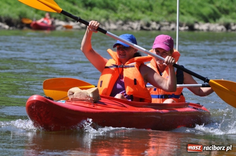 Zdjęcie w galerii na portalu naszraciborz.pl: Slalomem kajakarskim po Odrze w Raciborzu FOTO i WIDEO wiadomości z regionu