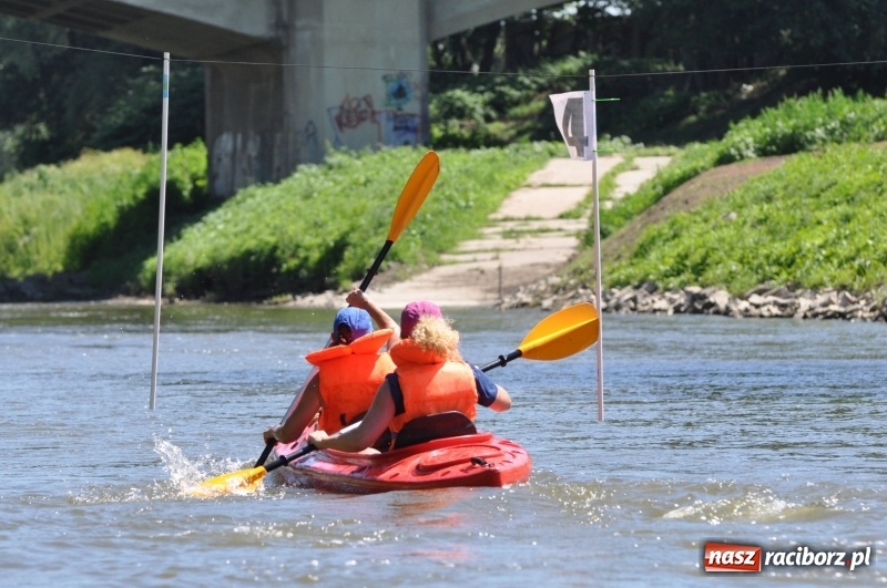 Zdjęcie w galerii na portalu naszraciborz.pl: Slalomem kajakarskim po Odrze w Raciborzu FOTO i WIDEO wiadomości z regionu