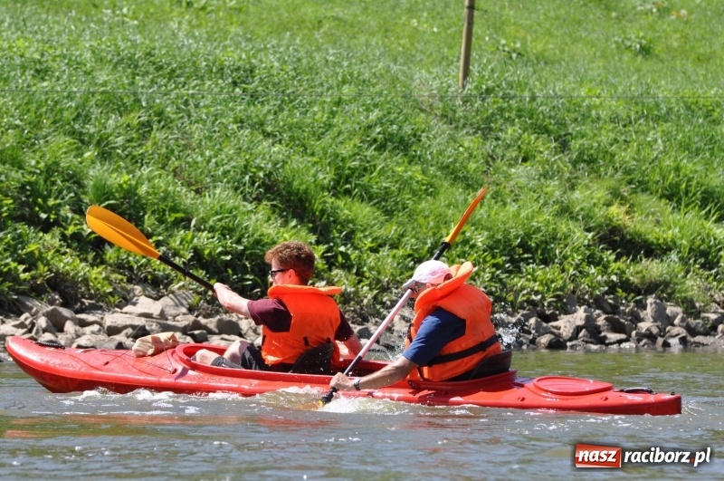 Zdjęcie w galerii na portalu naszraciborz.pl: Slalomem kajakarskim po Odrze w Raciborzu FOTO i WIDEO wiadomości z regionu