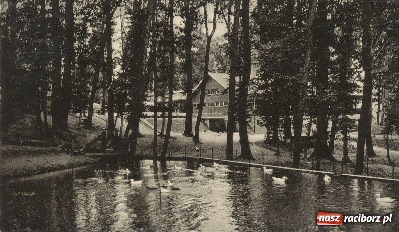 Zdjęcie w galerii na portalu naszraciborz.pl: Racibórz retro, czyli jak dawniej wypoczywali raciborzanie ARCHIWALNE FOTO  wiadomości z regionu