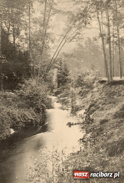 Zdjęcie w galerii na portalu naszraciborz.pl: Racibórz retro, czyli jak dawniej wypoczywali raciborzanie ARCHIWALNE FOTO  wiadomości z regionu