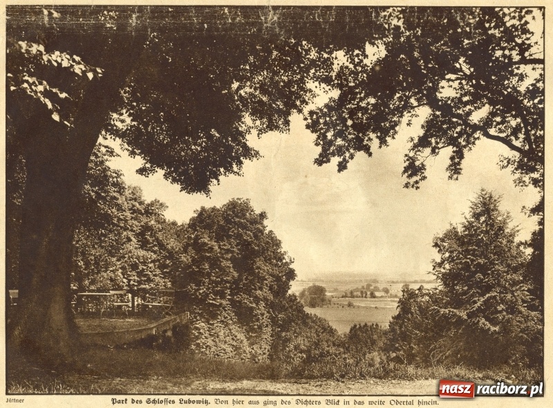 Zdjęcie w galerii na portalu naszraciborz.pl: Racibórz retro, czyli jak dawniej wypoczywali raciborzanie ARCHIWALNE FOTO  wiadomości z regionu