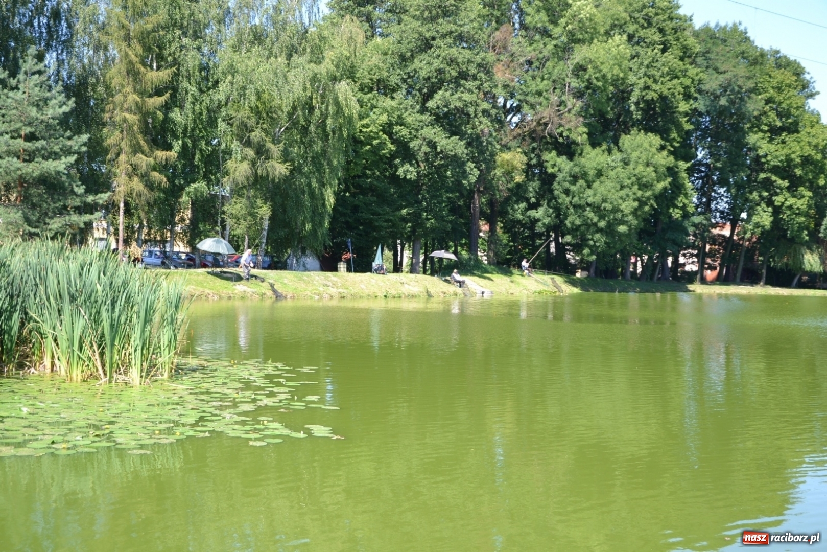 Zdjęcie w galerii na portalu naszraciborz.pl: Kazimierz Cieślak najlepszym wędkarzem wśród emerytów i rencistów podczas zawodów w Tworkowie wiadomości z regionu
