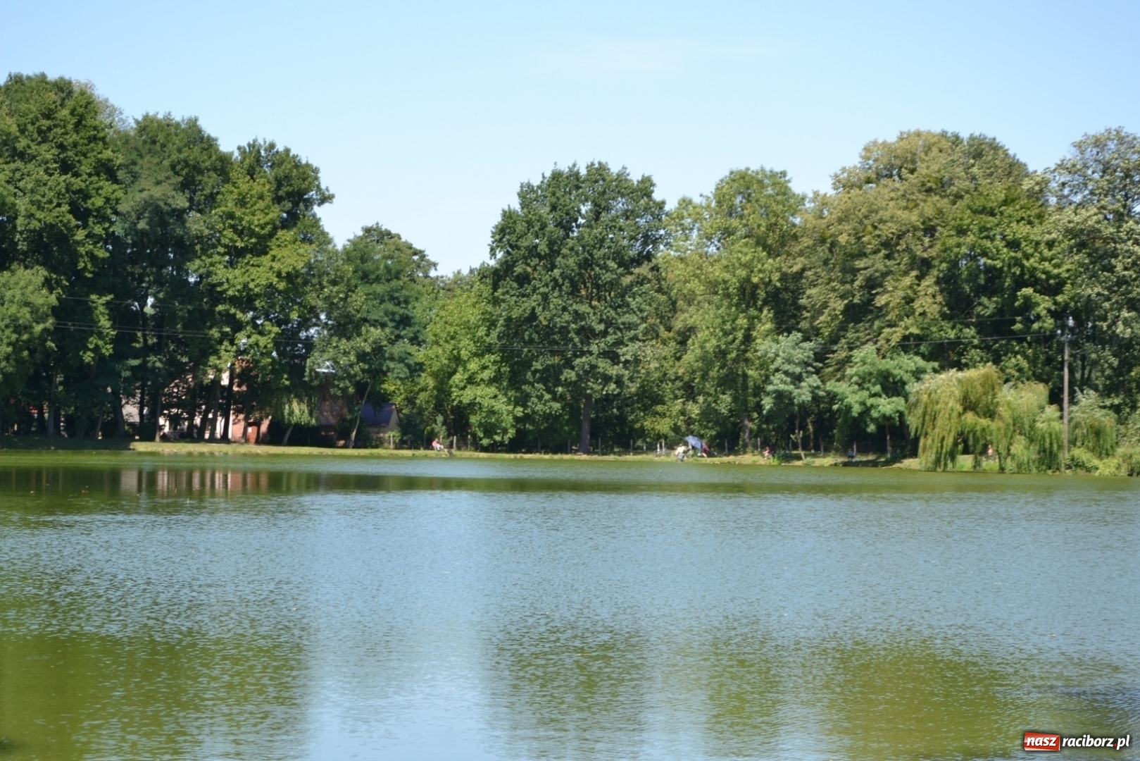 Zdjęcie w galerii na portalu naszraciborz.pl: Kazimierz Cieślak najlepszym wędkarzem wśród emerytów i rencistów podczas zawodów w Tworkowie wiadomości z regionu