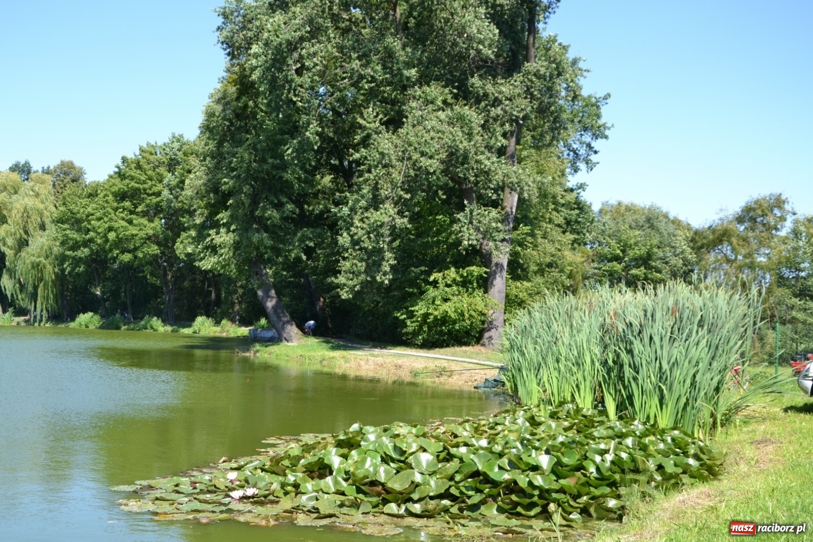 Zdjęcie w galerii na portalu naszraciborz.pl: Kazimierz Cieślak najlepszym wędkarzem wśród emerytów i rencistów podczas zawodów w Tworkowie wiadomości z regionu