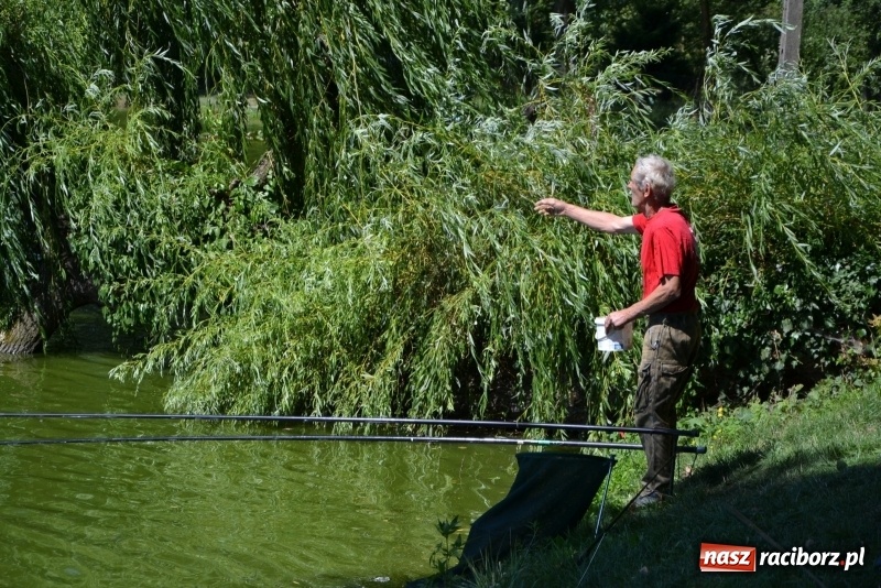 Zdjęcie w galerii na portalu naszraciborz.pl: Kazimierz Cieślak najlepszym wędkarzem wśród emerytów i rencistów podczas zawodów w Tworkowie wiadomości z regionu