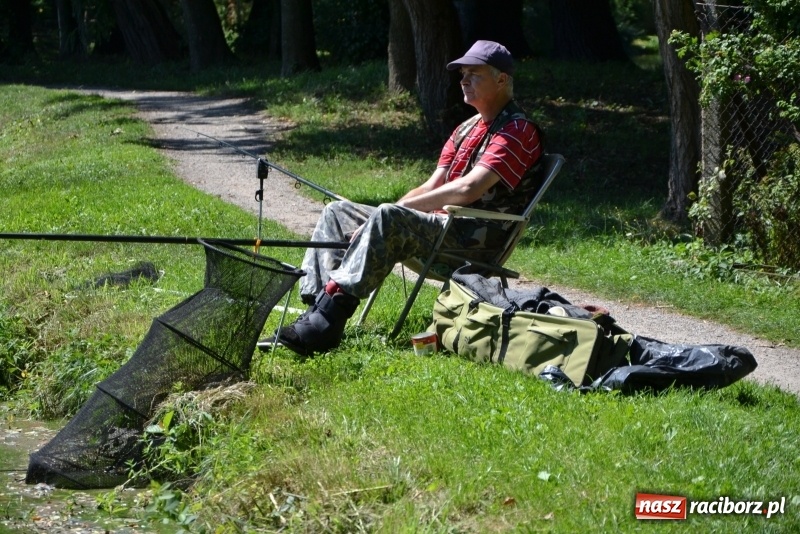 Zdjęcie w galerii na portalu naszraciborz.pl: Kazimierz Cieślak najlepszym wędkarzem wśród emerytów i rencistów podczas zawodów w Tworkowie wiadomości z regionu