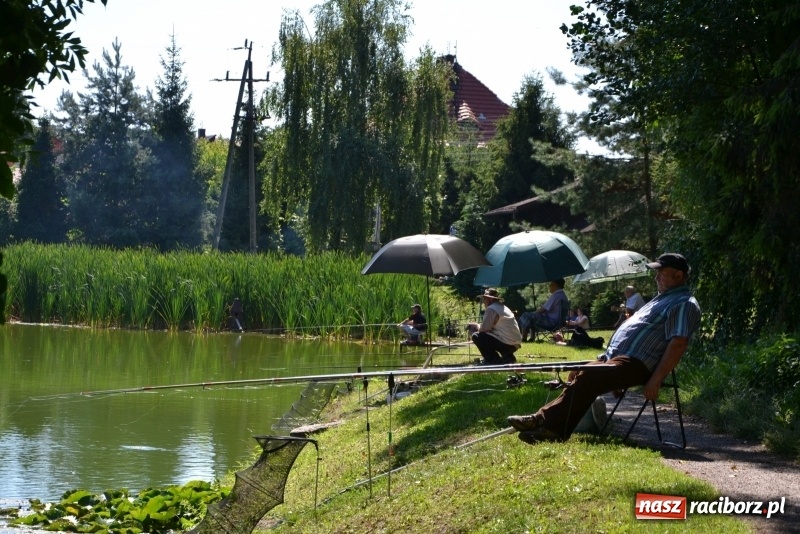 Zdjęcie w galerii na portalu naszraciborz.pl: Kazimierz Cieślak najlepszym wędkarzem wśród emerytów i rencistów podczas zawodów w Tworkowie wiadomości z regionu