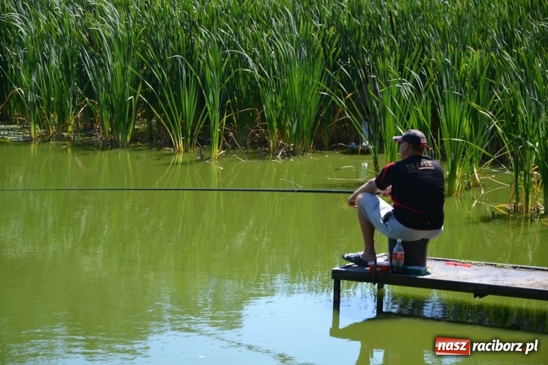 Zdjęcie w galerii na portalu naszraciborz.pl: Kazimierz Cieślak najlepszym wędkarzem wśród emerytów i rencistów podczas zawodów w Tworkowie wiadomości z regionu