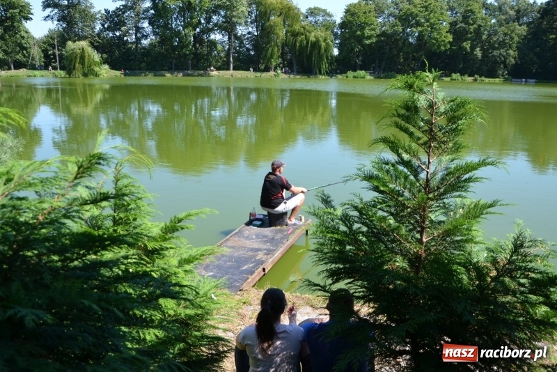 Zdjęcie w galerii na portalu naszraciborz.pl: Kazimierz Cieślak najlepszym wędkarzem wśród emerytów i rencistów podczas zawodów w Tworkowie wiadomości z regionu