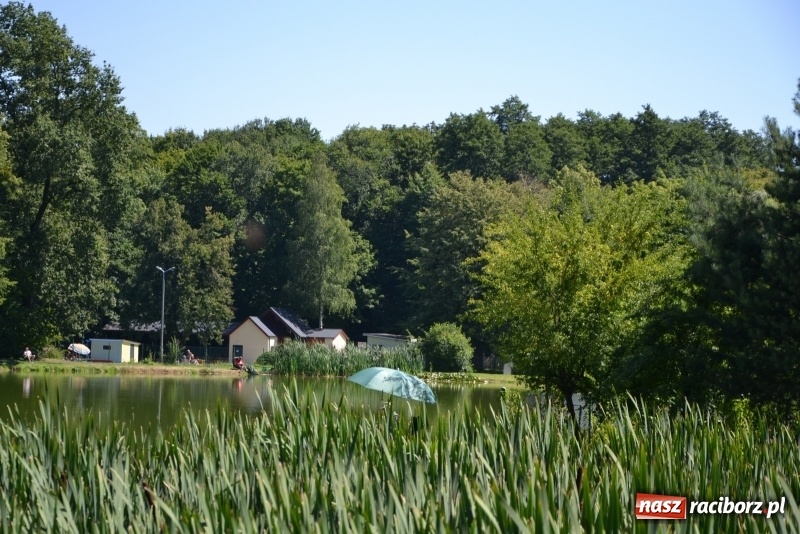 Zdjęcie w galerii na portalu naszraciborz.pl: Kazimierz Cieślak najlepszym wędkarzem wśród emerytów i rencistów podczas zawodów w Tworkowie wiadomości z regionu